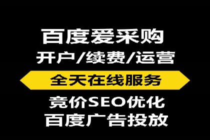 成功企业SEM竞价代运营案例研究